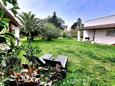 Maison, 320 m²