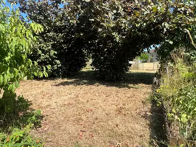 Maison, 77 m²