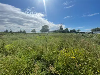 Terrain, 891 m²