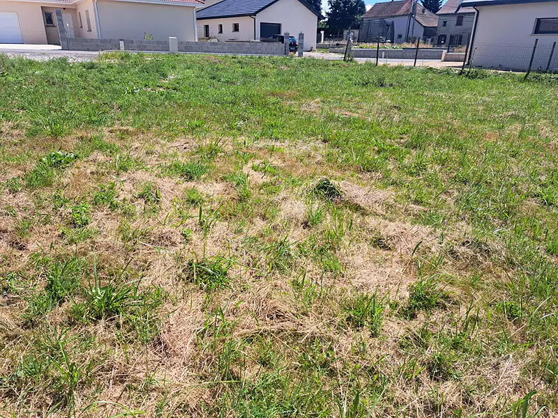 Terrain, 564 m²