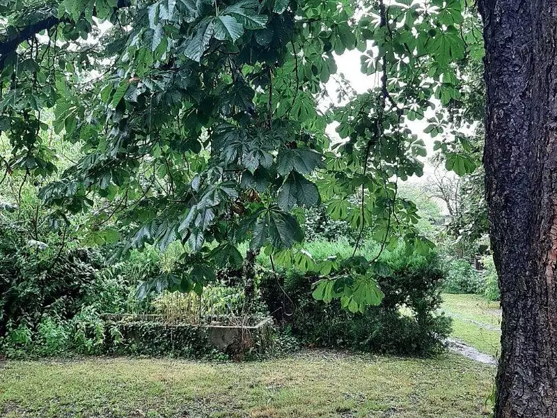 Maison, 80 m²