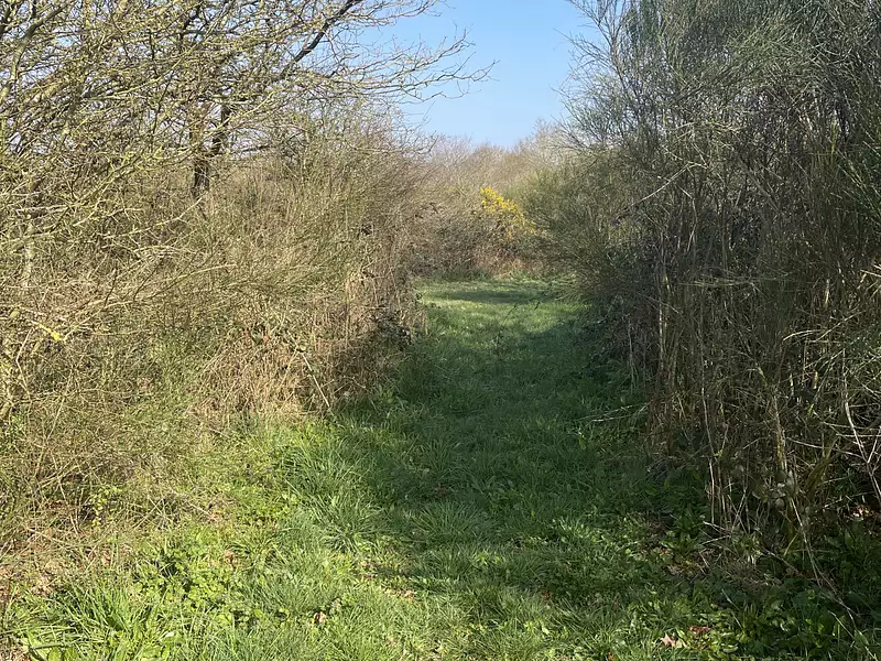 Terrain, 34 900 m²