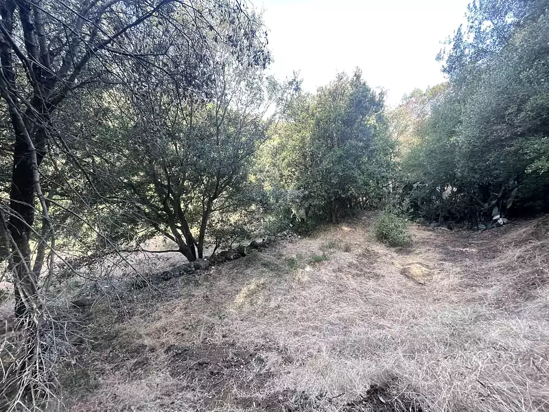 Terrain, 885 m²
