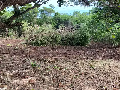 Terrain, 1 000 m²