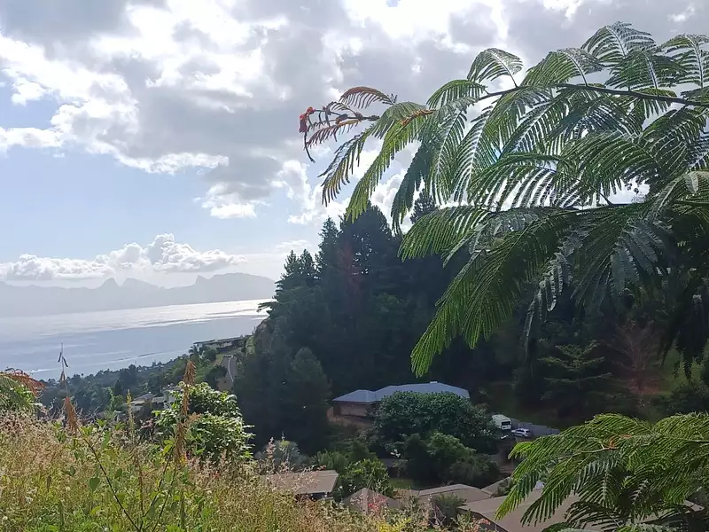 Terrain, 1 700 m²