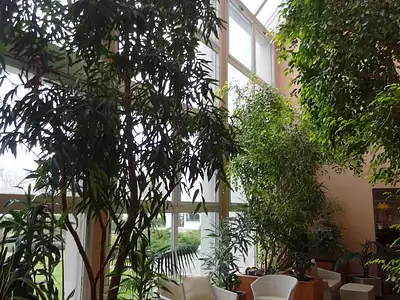 Appartement, 45 m²