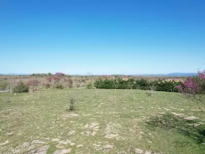 Terrain, 1 564 m²