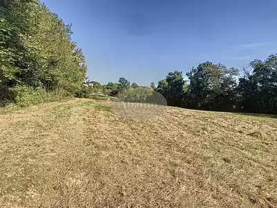 Terrain