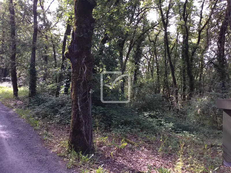 Terrain, 1 418 m²