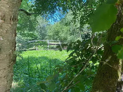 Terrain, 14 391 m²