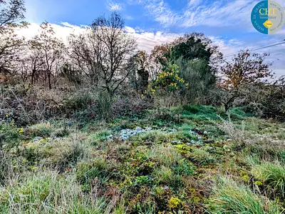 Terrain, 1 716 m²