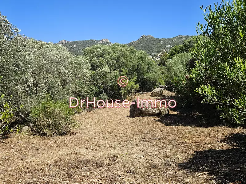 Terrain, 1 490 m²