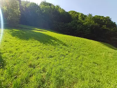 Terrain, 3 385 m²