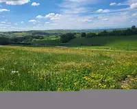 Terrain, 1 577 m²