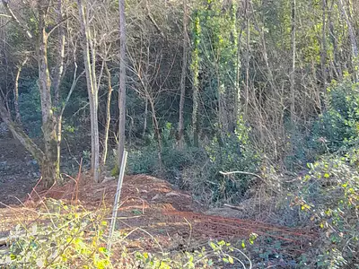 Terrain, 2 388 m²