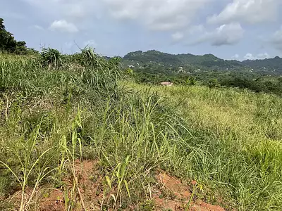 Terrain, 477,99 m²