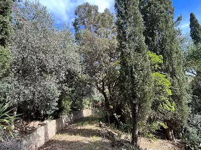 Terrain, 1 630 m²