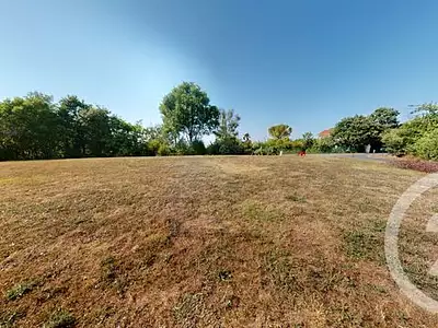 Terrain