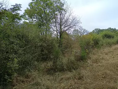 Terrain, 33 821 m²