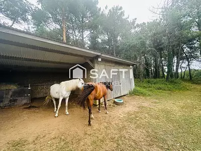 Maison, 176 m²