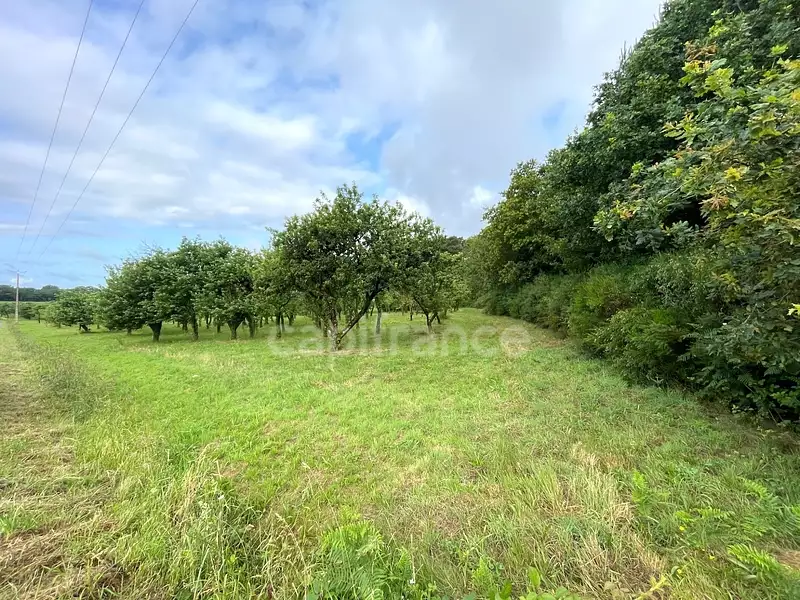 Terrain, 12 510 m²