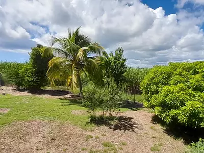 Maison, 162 m²