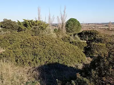 Terrain, 3 630 m²