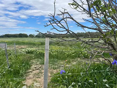 Terrain, 3 984 m²