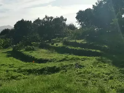 Terrain, 1 110 m²