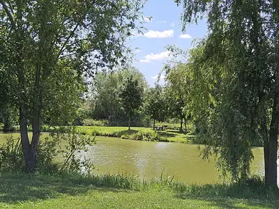 Maison, 35 m²