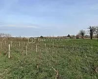 Terrain, 524 m²