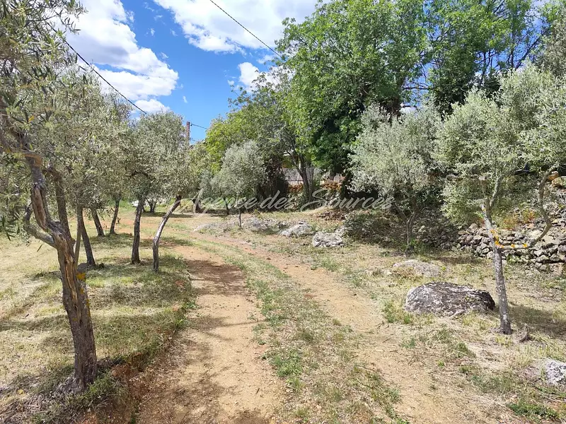 Terrain, 917 m²
