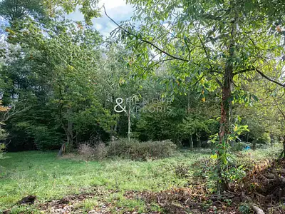 Terrain, 700 m²