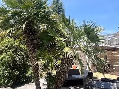 Maison, 280 m²