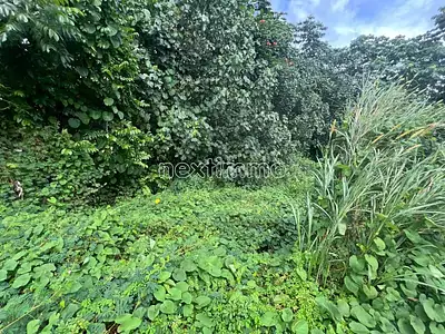 Terrain, 500 m²