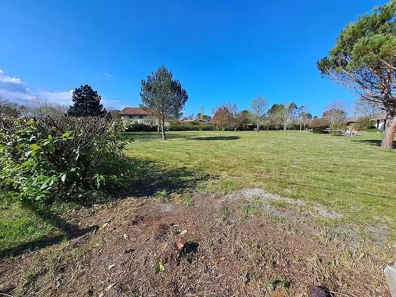 Terrain, 1 230 m²