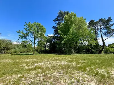 Terrain, 907 m²