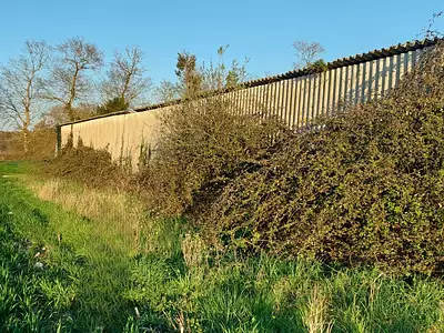 Terrain, 1 000 m²