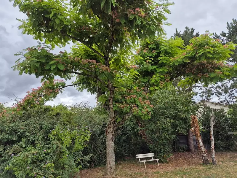 Maison, 150 m²