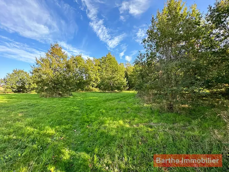 Terrain, 10 076 m²
