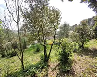 Maison, 70 m²