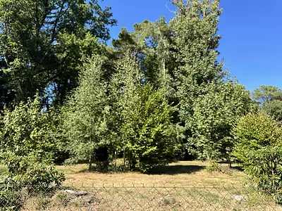 Terrain, 800 m²