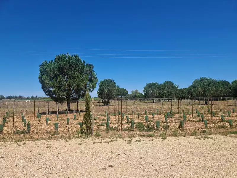 Maison, 508 m²