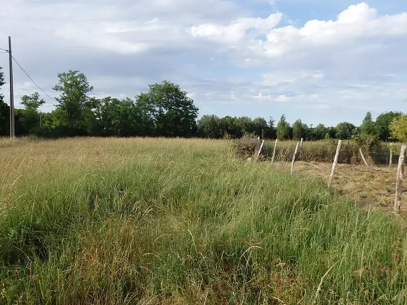 Terrain, 34 231 m²