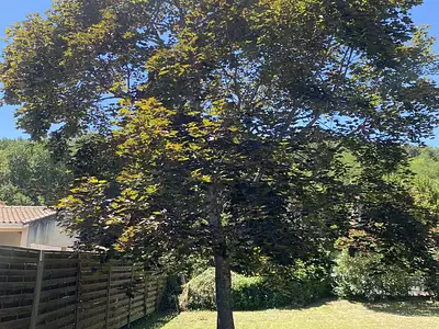 Maison, 235 m²