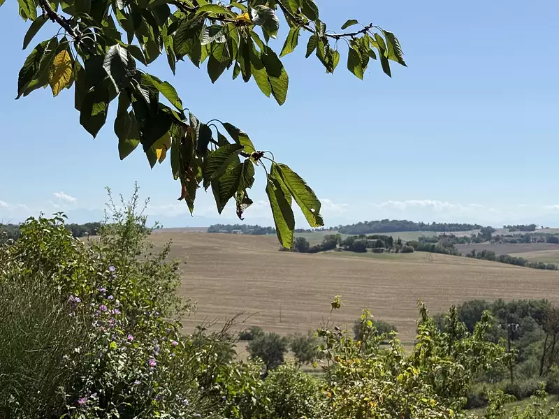 Terrain, 1 300 m²