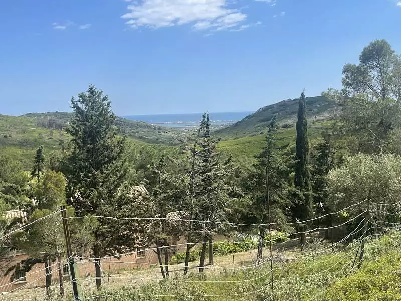 Terrain, 16 028 m²