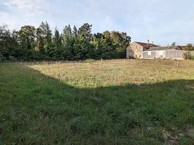 Terrain, 1 135 m²