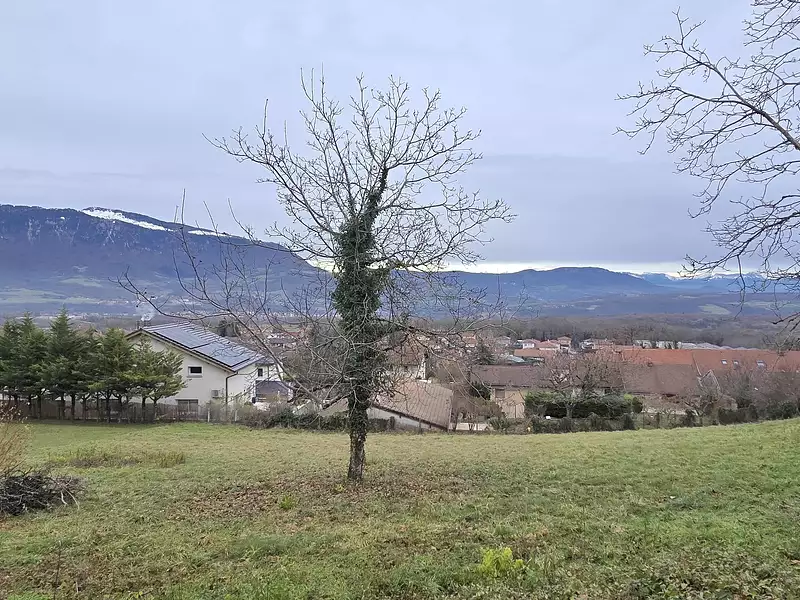Terrain, 801 m²