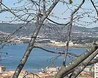 Terrain, 835 m²